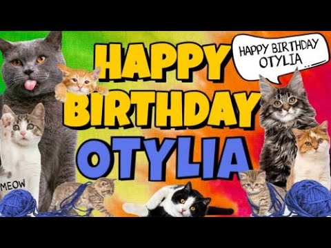Happy Birthday Otylia! Crazy Cats Say Happy Birthday Otylia (Very Funny)