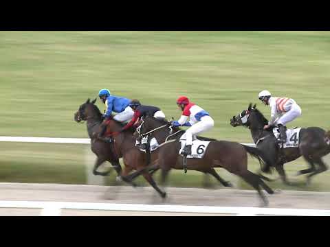 2021.05.23. 08. futam - ARÉNA HENDIKEP (II.o.) (szintetikus pálya)