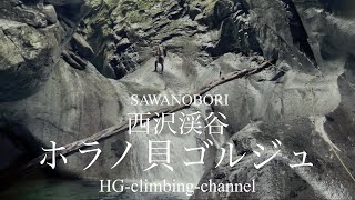 【沢登り】西沢渓谷ホラノ貝ゴルジュ〜組長をレスキューせよ〜climberチャンプ、組長、サトーさん