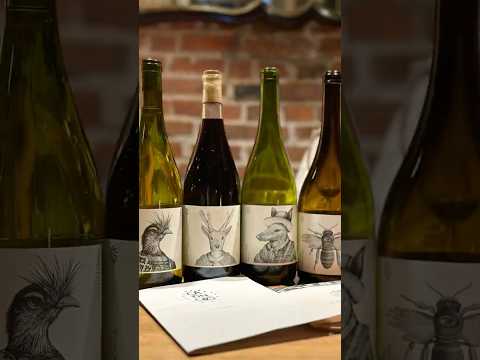 Capincho Porto Alegre