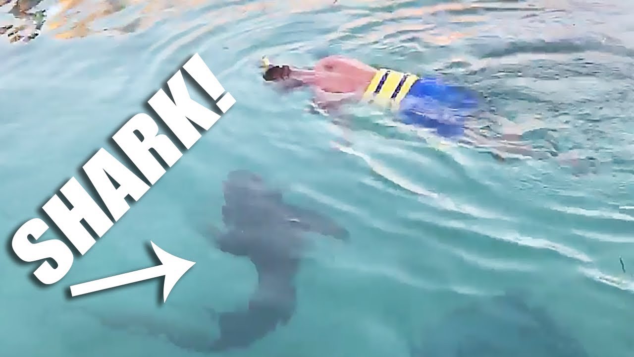 I will NEVER do this again....