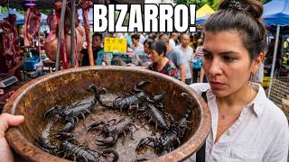 China: Dentro do Maior Mercado de Animais Exóticos do Mundo!
