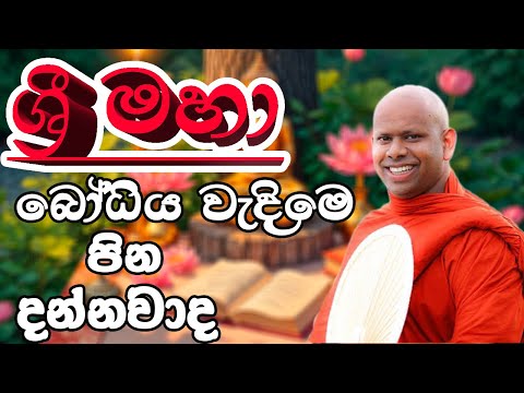 ශ්‍රි මහා බෝධිය වැඳ පුදා ගැනිමට පෙර මෙය අසන්න.Welimada saddaseela theru#trendingshorts #bana