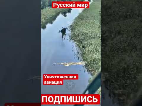 ❗️Боевые будни армейской авиации. Неоднократно уничтоженная авиация