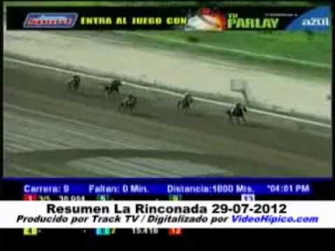 Resumen La Rinconada 29-07-2012