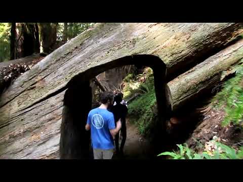 Northern California and Southern Oregon Summer 2022