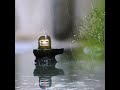 Maha Mrityunjay Yantra Mahadev WhatsApp Status Shiv Avinashi