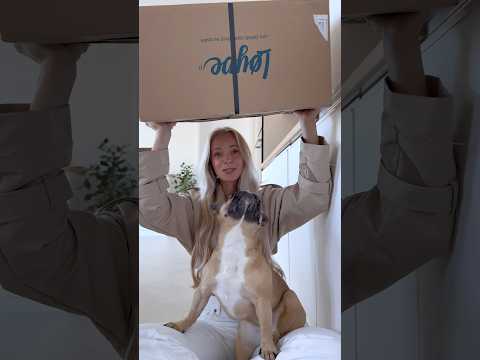 Chewie objednávka! 😅🐶Vše je z e-shopu Loype (gifted). 🩷 #doglover #pets #dog #frenchie