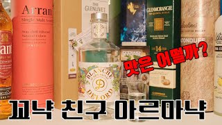 꼬냑친구 아르마냑, 가성비 브랜디 아르마냑 리뷰, ARMAGNAC Review