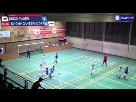 Tor -  Union Mauer / SV OMV Gänserndorf am 13.02.2016 18:18