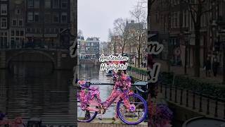 It's totally possible to visit Amsterdam in a day! 🚲🇳🇱 #travel #netherlands #shorts