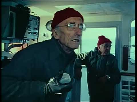 The Undersea World of Jacques Cousteau - E28 - Antarctic IV - Blizzard at Hope Bay - Documentary
