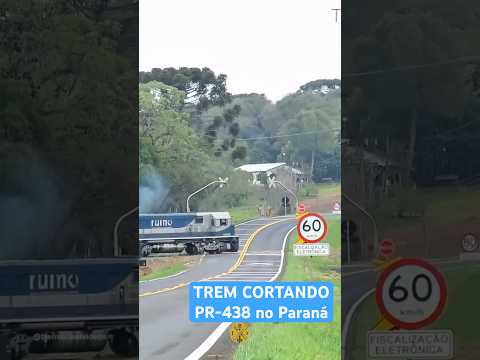 TREM da RUMO CORTANDO A PR-438 NO PARANÁ | ENTRE Teixeira Soares - Irati #ferrovia #trem #railway