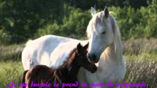 Gregory Lemarchal, De temps en temps