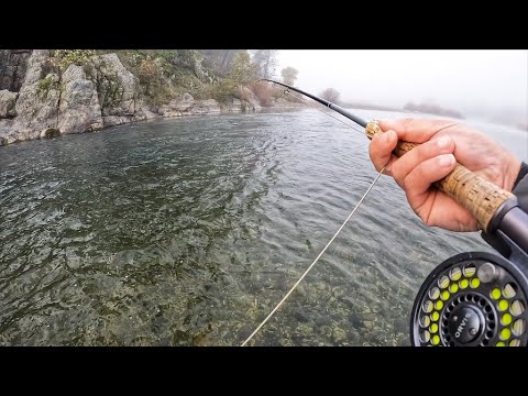 I’ve never done this before (and TOP 10 XMAS GIFTS)