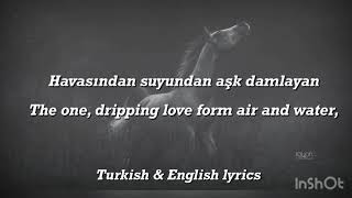 Download lagu Mustafa Celeli -Gül Rengi (English and Turkish) Lyric mp3 Download lagu Mustafa Celeli -Gül Rengi (English and Turkish) Lyric mp3