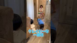 クレイジーな一歳児😱 【こむこまつり】 #shorts