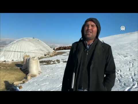 Kışın çetin geçti ağrı taşlıçay kumluca köyü