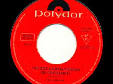 The Sunbeams - I've Got A Lovely Bunch Of Cocoanuts