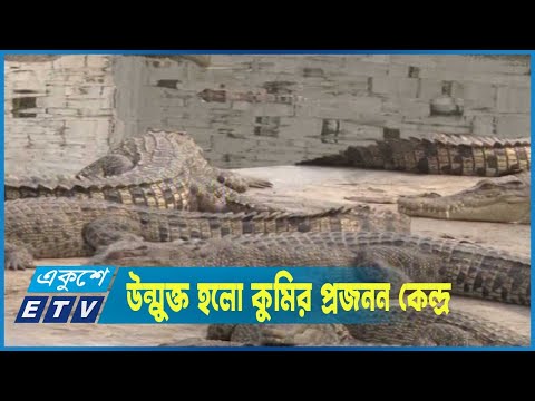 দর্শনীর বিনিময়ে পর্যটকদের জন্য উন্মুক্ত হলো দেশের প্রধান কুমির প্রজনন কেন্দ্র