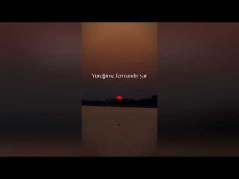 Atilla Suat Aslan & Gülhan - Gözlerin [ Cover ]  ( Ali Haydar Timisi )