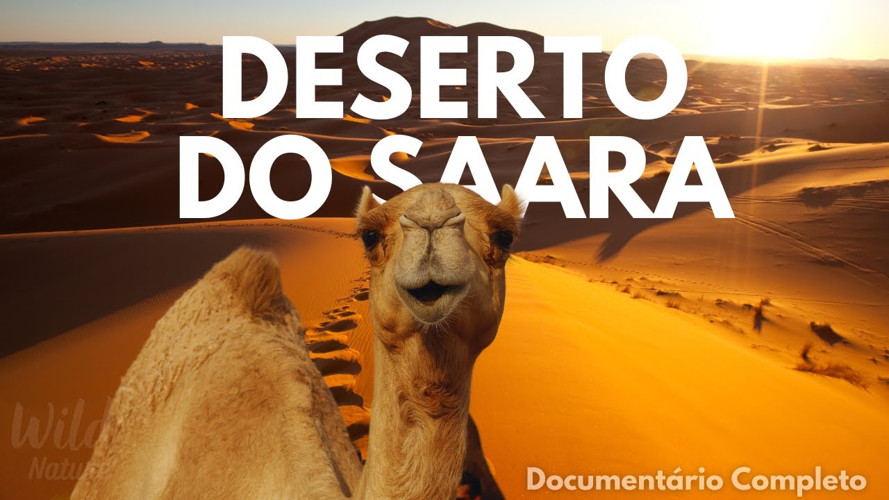 DESERTO DO SAARA - A BELEZA OCULTA DO INFINITO | Documentário Completo