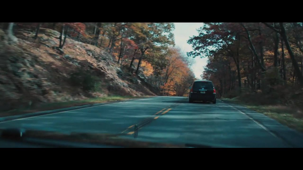 The Girlfriend Experience (2009) trailer