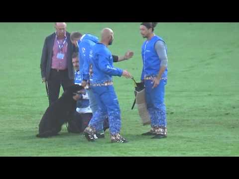 2019 WUSV WM in Modena ITA‐3 ALESSANDRO GIANNINI   NAKY DI CASA DEL BEATO M C NQ