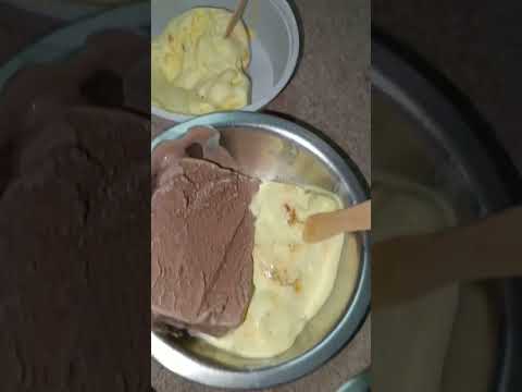 Butter scotch + chocolate great combination #icecream #best #shorts