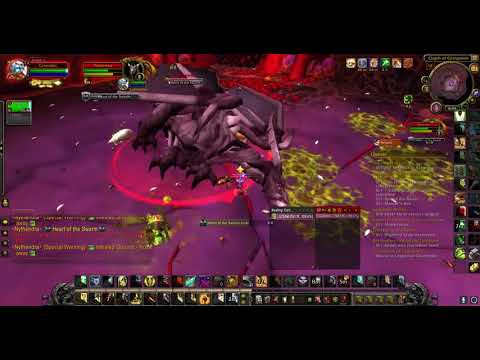 Ret Paladin Solo Normal Nythendra (No Lust)