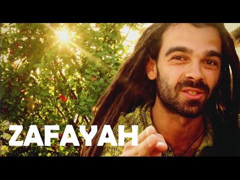 ZAFAYAH - Reggae Rajahs