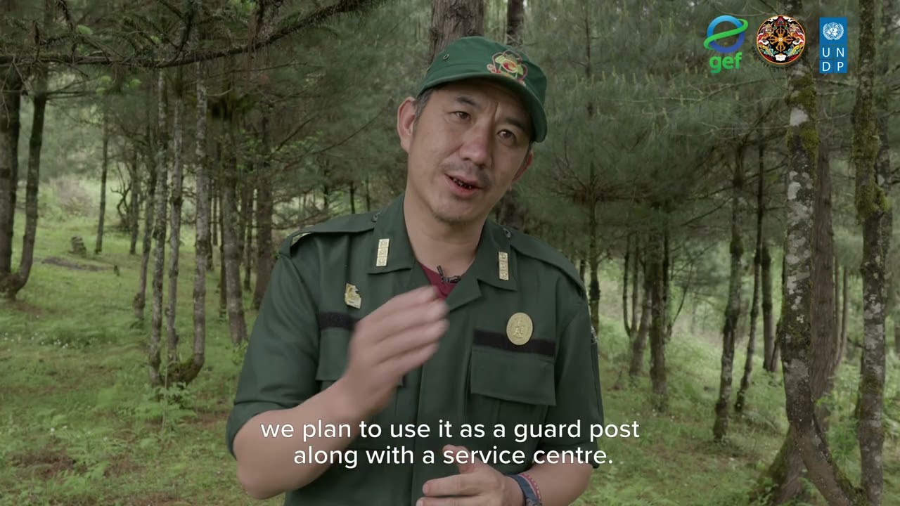 The Watershed Watch: Guarding the Source