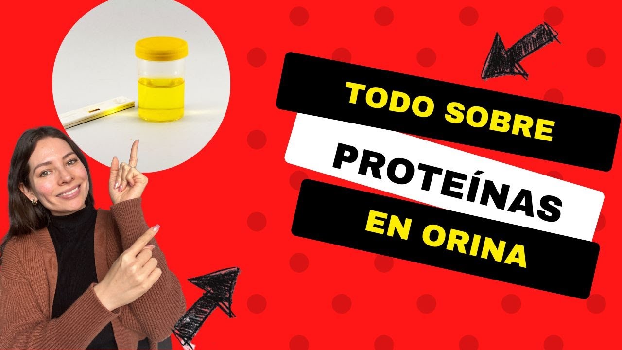 Proteins in urine: causes and treatment