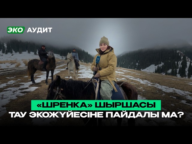 Алматыдағы орман шаруашылығының бүгіні