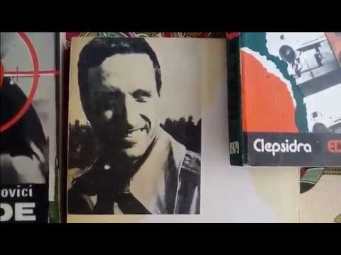 Doru Davidovici - 30 de ani de la ultimul zbor