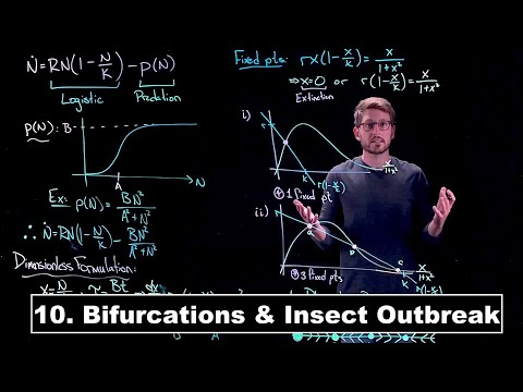 Bifurcations in a Model for Insect Outbreak - Dynamical Systems | Lecture 10