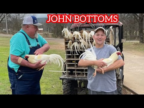 John Bottoms Farm Outdoor Indoor Breeding Pens Feeding Time - Big Farm USA