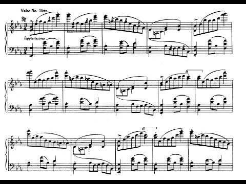 Strauss - An der schönen blauen Donau (with sheet music, Schulz-Evler, Pletnev)