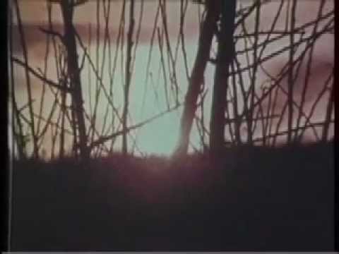 SebasA6’s Video 16638410802 ASZkt9THgEw