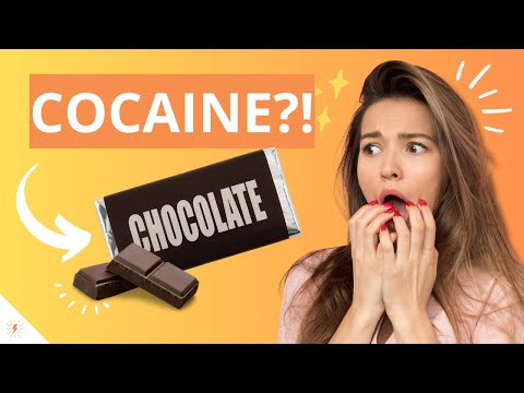 Cacao vs Cocaine: The SHOCKING similarities REVEALED!