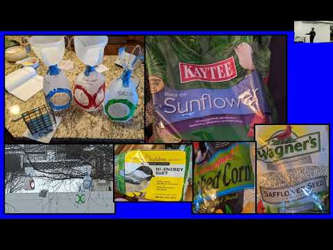 Winter Birds and Their Feed Preferences by Asher Stanfield