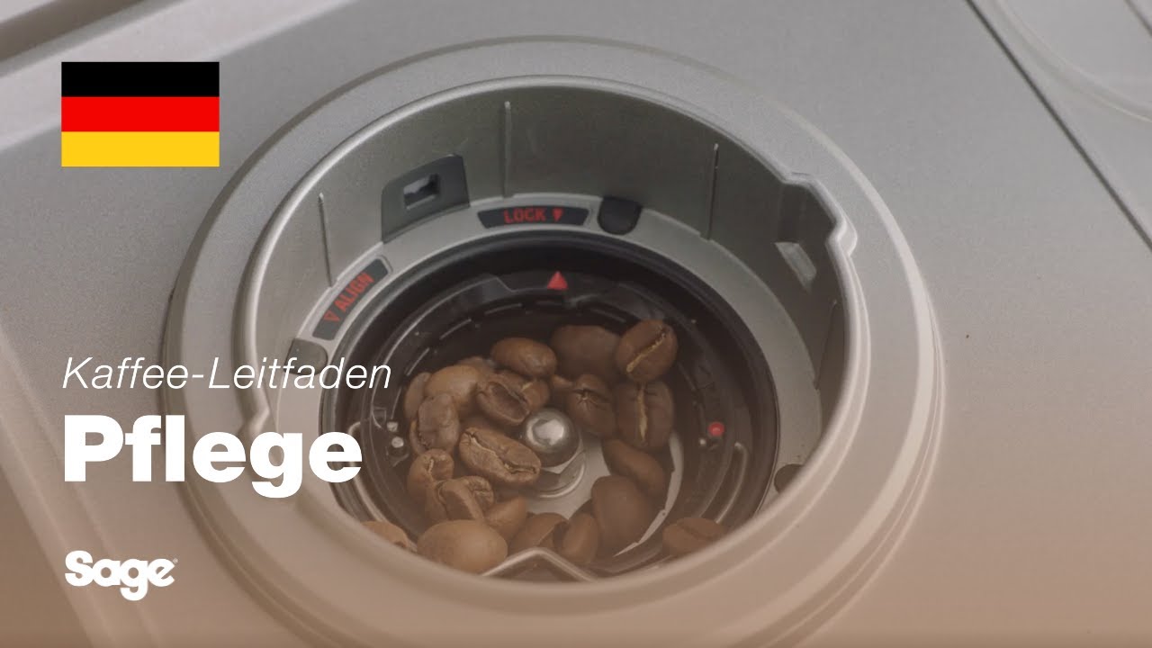 Reinigung der Mahlkegel