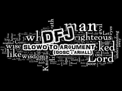 DFJ feat. Ariall - Słowo to argument