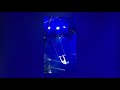 Big Apple Circus 2018