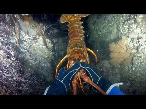 Lobster Hunting and Kayak Diving with GoPro