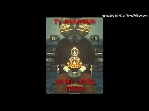Ty Assassin - on my level