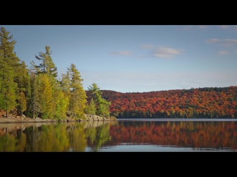 Algonquin Park: Yours to Explore (www.algonquinpark.on.ca)