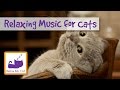 1 Hour of Relaxing Music for Cats - Help Separation ...