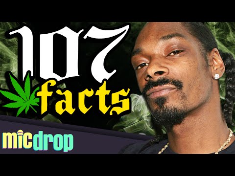 107 Snoop Dogg Music Facts YOU Should Know (Ep #4) - MicDrop