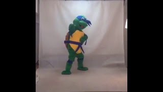 Teenage Mutant Ninja Turtles 2 (2016) High Quality TMNT Teenage Mutant Ninja Turtle Adult Character